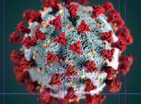 A crumb of comfort amidst grim news on coronavirus