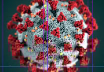 A crumb of comfort amidst grim news on coronavirus