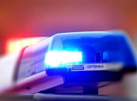 Vehicle destroyed in South Brent blaze