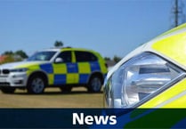 Sheep feared slaughtered then stolen for sale from Chudleigh as police warn rural community to be vigilant