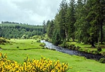 Dartmoor beauty spot begins to recover after emergency powers invoked after littering, human waste and 100 fire-pit