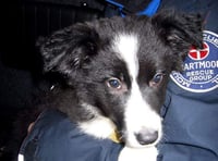 Tributes to rescue team stalwart