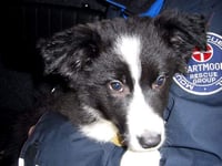 Tributes to rescue team stalwart
