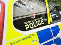 Police probe as horse injured by ‘puncture wound’ at Dean Prior