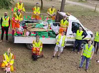 Forestry clean up? They're lovin' it!