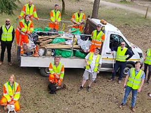 Forestry clean up? They're lovin' it!