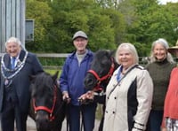 Mayor's chosen charity is a natural health service