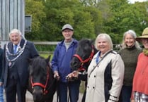 Mayor's chosen charity is a natural health service