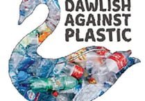 PLASTIC OR PAPER – WHICH IS BETTER FOR THE ENVIRONMENT?