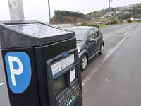Den parking divided council