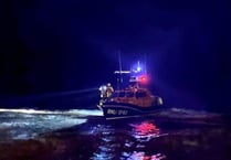 Woman rescued after cliff fall