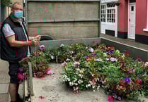 Ashburton’s looking blooming lovely