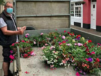 Ashburton’s looking blooming lovely