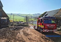 Sticky situation for a walking duo at Mamhead