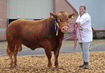 Carrying on the family tradition at Devon County Show