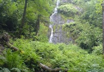 Mums go free at Devon's highest waterfall for Mother's Day