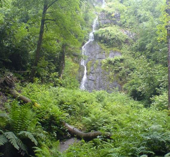 Mums go free at Devon's highest waterfall for Mother's Day