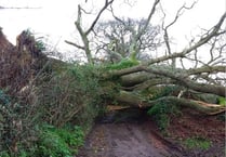 Met Office issues red weather warning for Devon