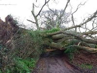 Met Office issues red weather warning for Devon