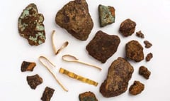 Dawlish Hoard goes on display in city museum