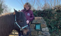Pony charity devastated as thieves strike