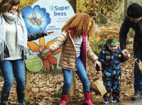 Nature lessons on  forest trail
