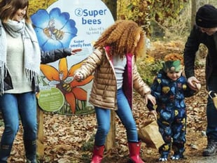 Nature lessons on  forest trail