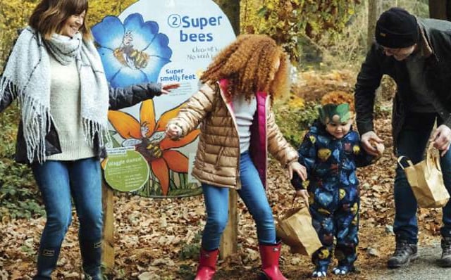 Nature lessons on  forest trail