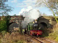 How about a half-term steam treat on South Devon Railway?