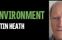 Trees take pride of place in columnist's latest opinion piece
