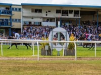 Newton Abbot abandons sixth race this year