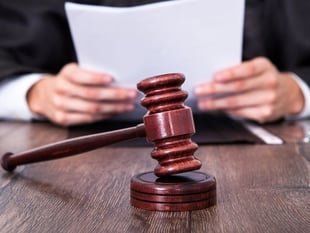 Man admits stealing weapons in Dawlish burglary