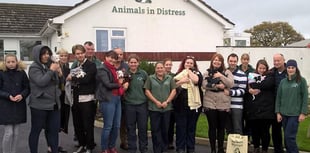 'Over the moon', says Animals in Distress at £3,000 donation 