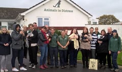 Animal charity up for national award