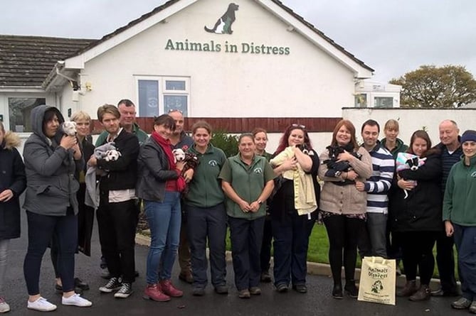 The team at Animals in Distress Rescue Centre in Ipplepen 