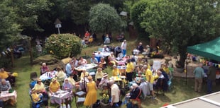 Cream teas aplenty at Ideford open garden 