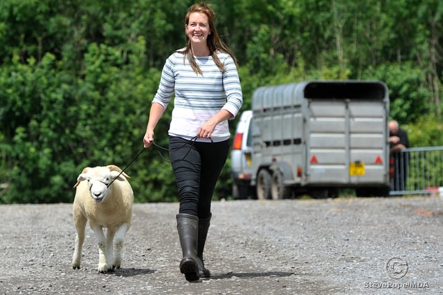 Something for everyone at the Devon County Show