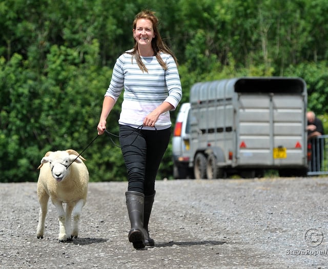 Something for everyone at the Devon County Show