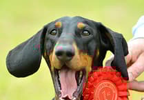 Teign Valley prepares for quirky village show