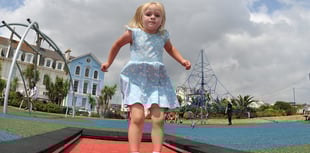 Den play area to close for repairs