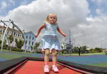 Den play area to close for repairs