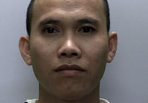 Illegal Vietnamese immigrant jailed for tending £165,000 Newton Abbot cannabis factory