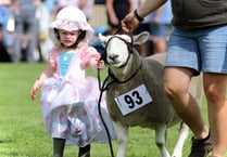 91st summer show to make sizzling return