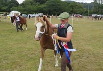 CHAGFORD SHOW: In pictures