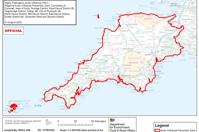 A bird flu exclusion zone has been announced across the South West. Credit: Defra
