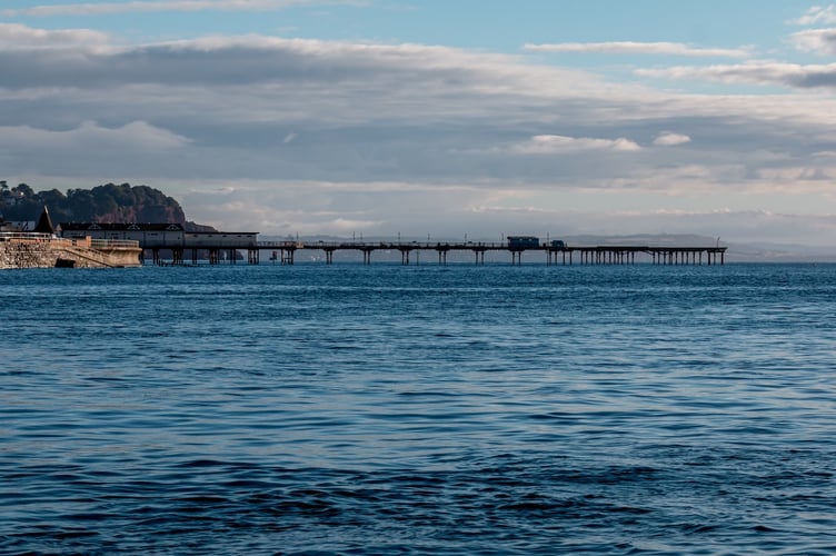 Swimmer have been advised against swimming at Shaldon Beach. Photo: Unsplash 