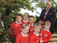 Tree planting for late monarch