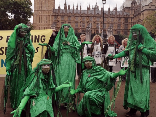 Green Spirits