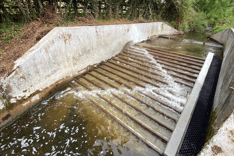 The newly completed fish pass