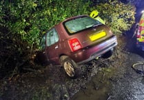 Car crashes into water filled ditch
